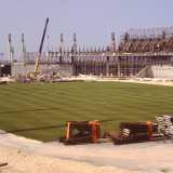 Il progetto sub� comunque modifiche, come l'aggiunta di una pista d'atletica a 8 corsie su richiesta del Coni. Una �famigerata� pista d�atletica, verrebbe da dire, che allontan� gli spalti dal campo di gioco peggiorando cos� la visibilit� delle partite
